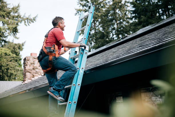 Best Roof Installation  in Adelphi, MD
